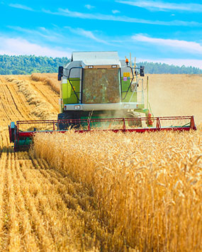 Agricultural machinery and accessories