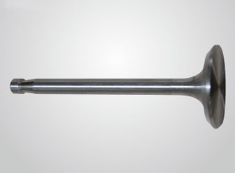 Intake valve