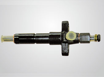 Fuel injection assembly